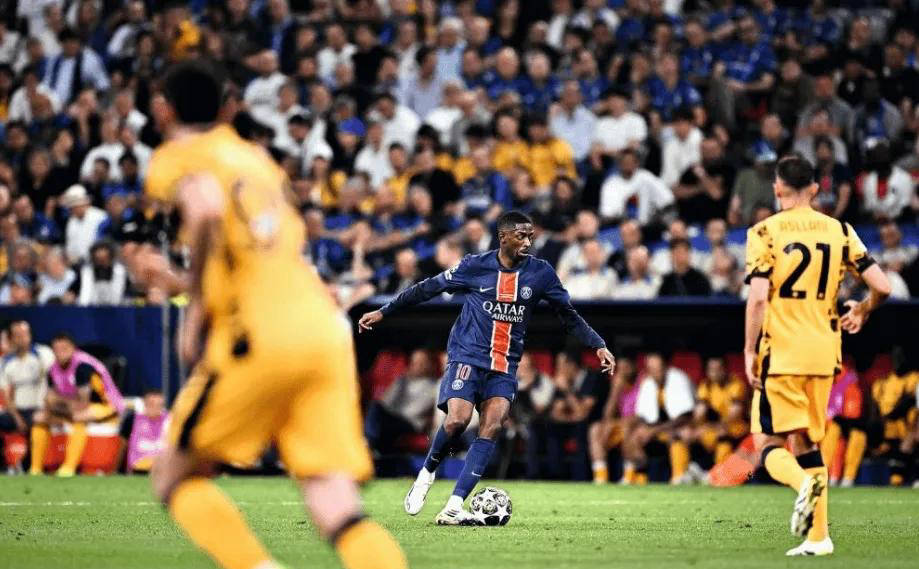 只会愈加扑 只会愈加扑